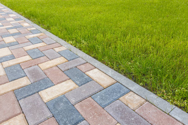 Best Local Driveway Pavers  in Windham, OH